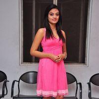 Nikitha Narayan Latest Stills | Picture 126197